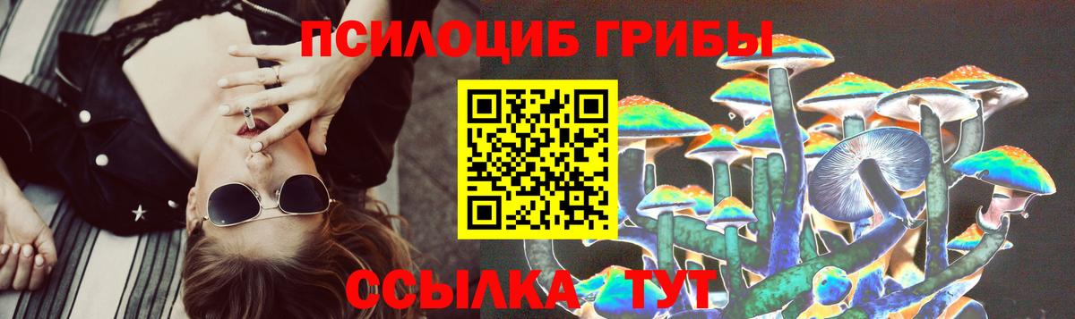 Галлюциногенные грибы прущие грибы  Вход с VPN  Псилоцибиновые грибы мицелий  Подольск 